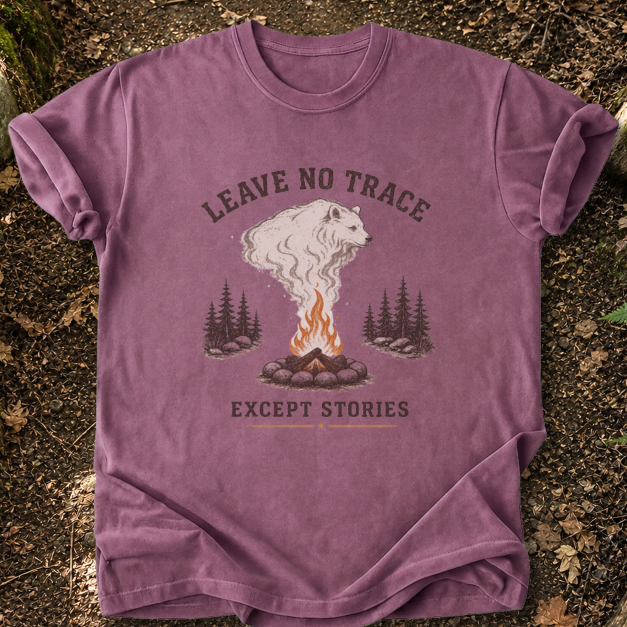 Leave No Trace Except Stories T-Shirt