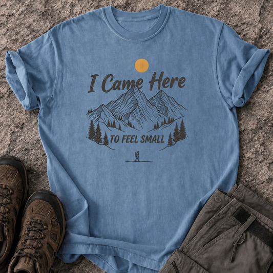 I Came Here To Feel Small T-Shirt
