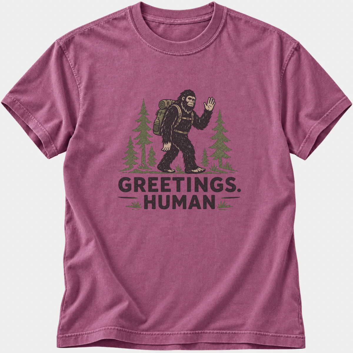 Greetings Human T-Shirt
