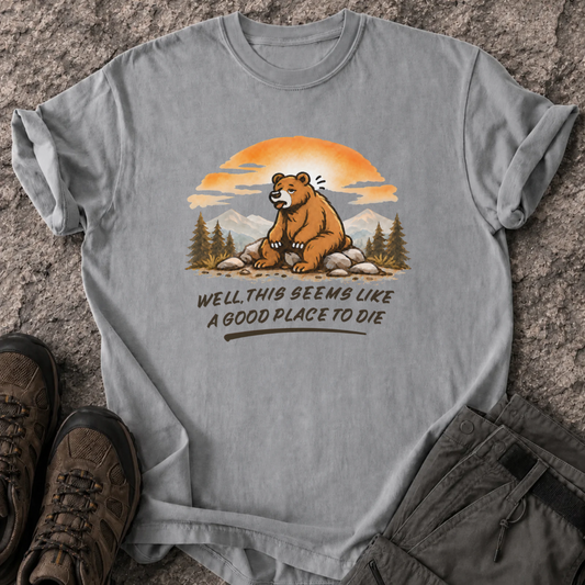 Seems Like A Good Place T-Shirt