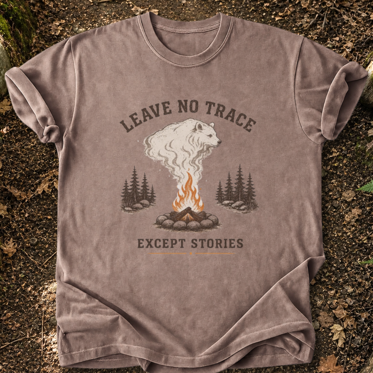 Leave No Trace Except Stories T-Shirt